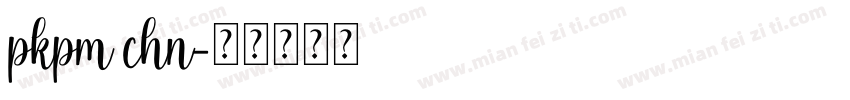 pkpm chn字体转换